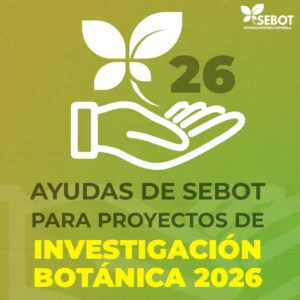 Concedidas las Ayudas de SEBOT para Proyectos de Investigación Botánica 2026
