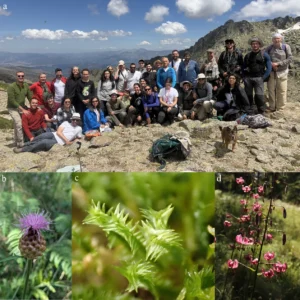 SEBOTA IV edición 2026 - Sierra de Gredos